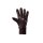 Shimano Originals All Condition Handschuh, schwarz