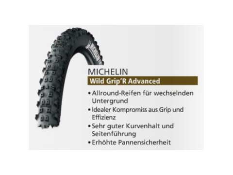 Michelin Wild Grip´R Advanced Tubeless
