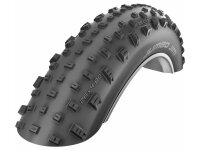 Schwalbe Jumbo Jim Addix Performance Line 100-559